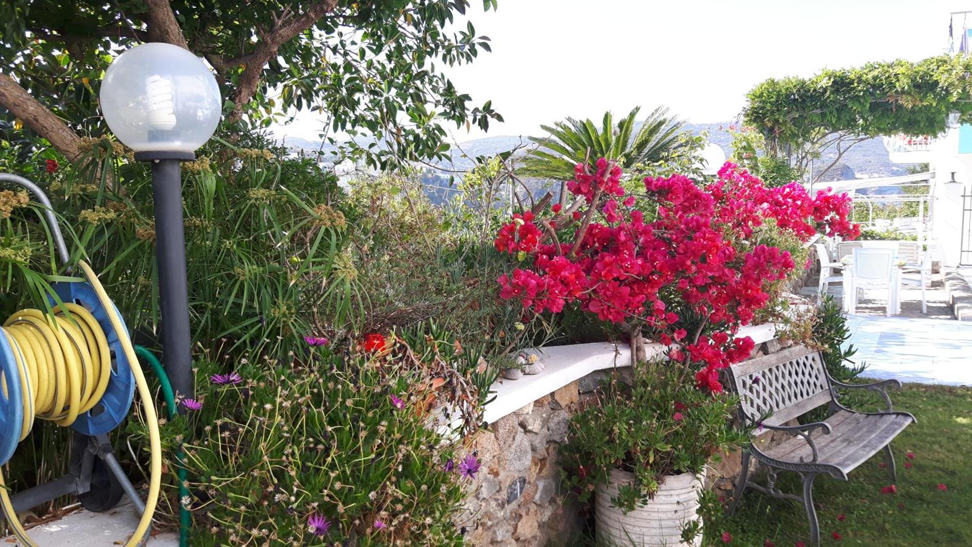Apartament Casa Acqua Marina Ponza Zewnętrze zdjęcie